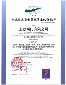 ISO18001职业健康管理体系认证（中文）