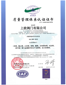 ISO9001：2015质量管理体系（中文）
