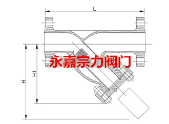 Y型过滤器